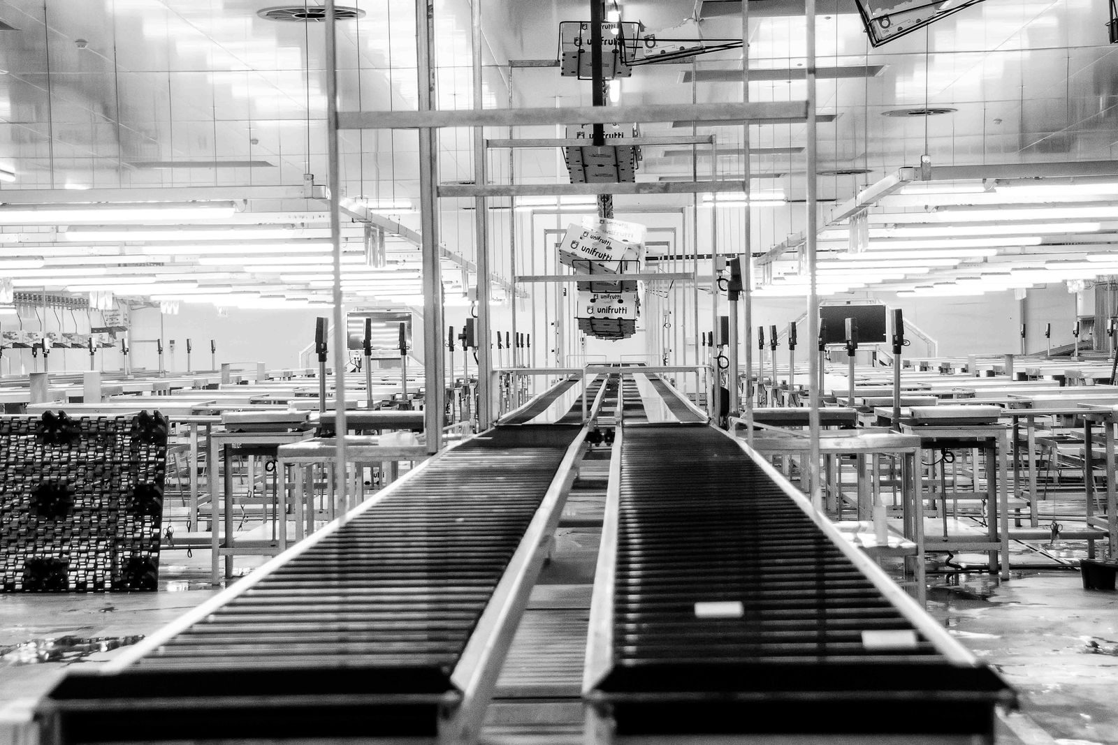 A conveyor line carrying parcels in a distribution hub.